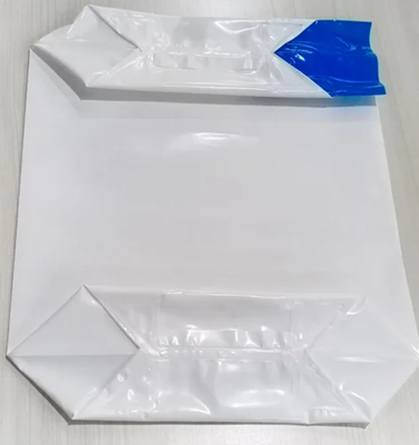 Custom Valve Type Liner Bags